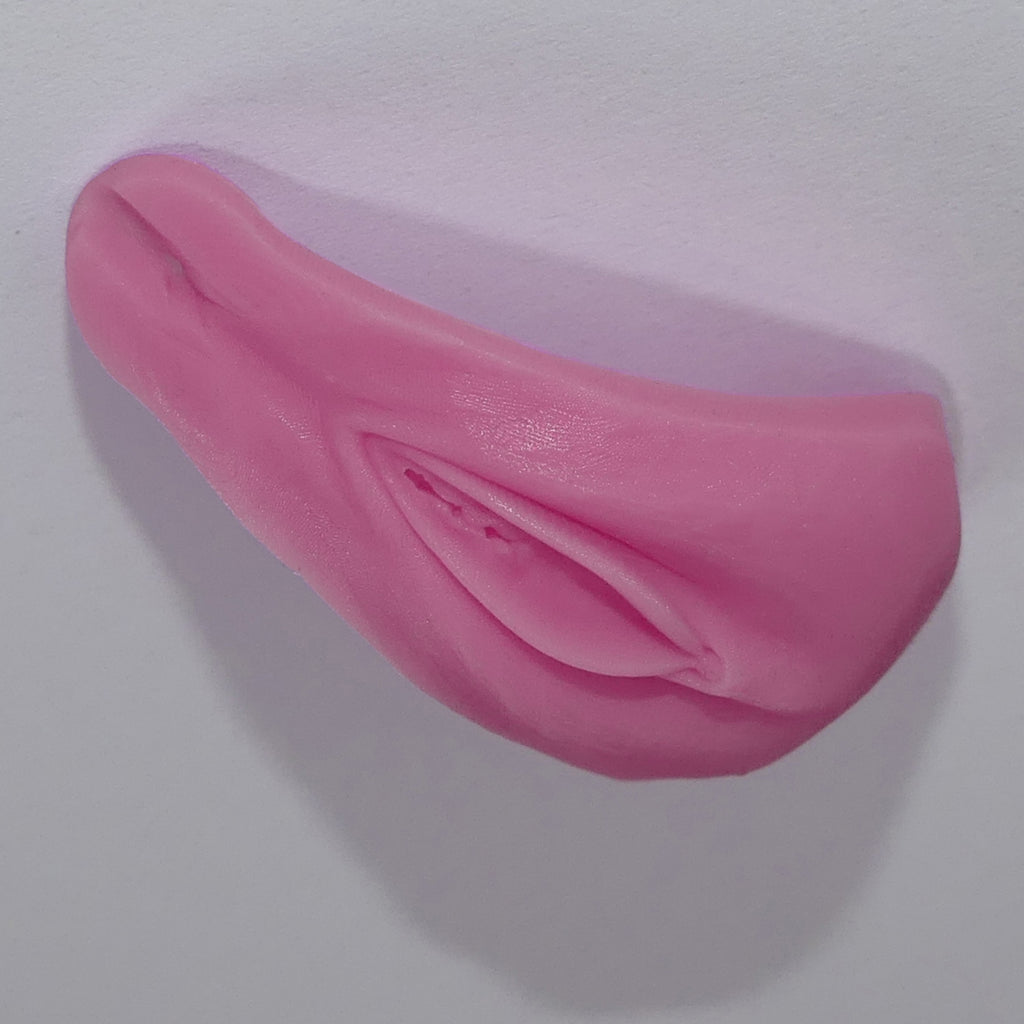 A pink silicone Barbie Vagina adult novelty item with a realistic textured surface, photographed on a plain light background.