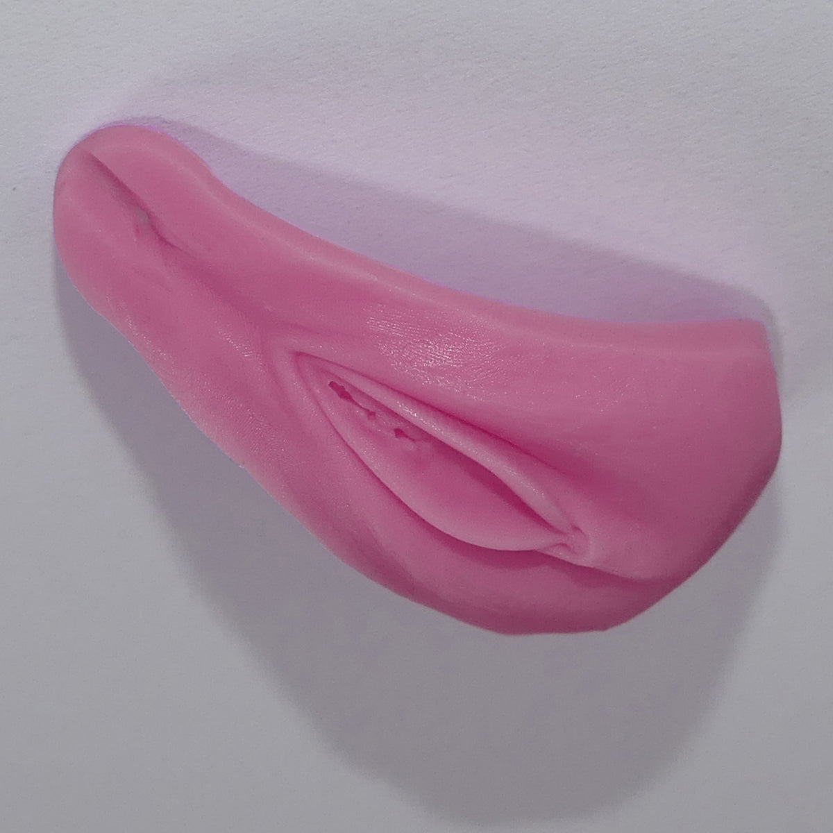 A pink silicone Barbie Vagina adult novelty item with a realistic textured surface, photographed on a plain light background.